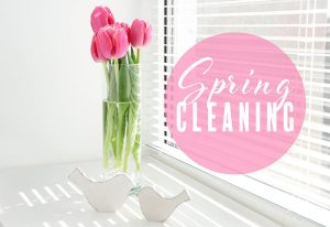 San Diego Spring Cleaning is Here